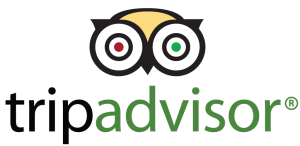 TripAdvisor-logo